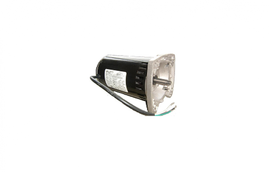 Swimming pool pump motor