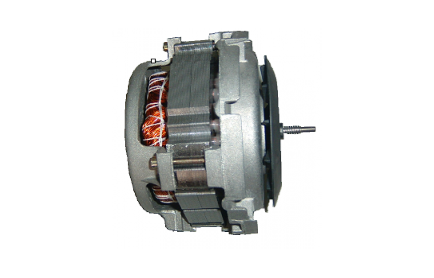 Dishwasher motor