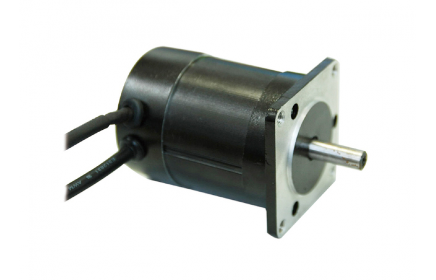 ZW55 Series Brushless DC Motor