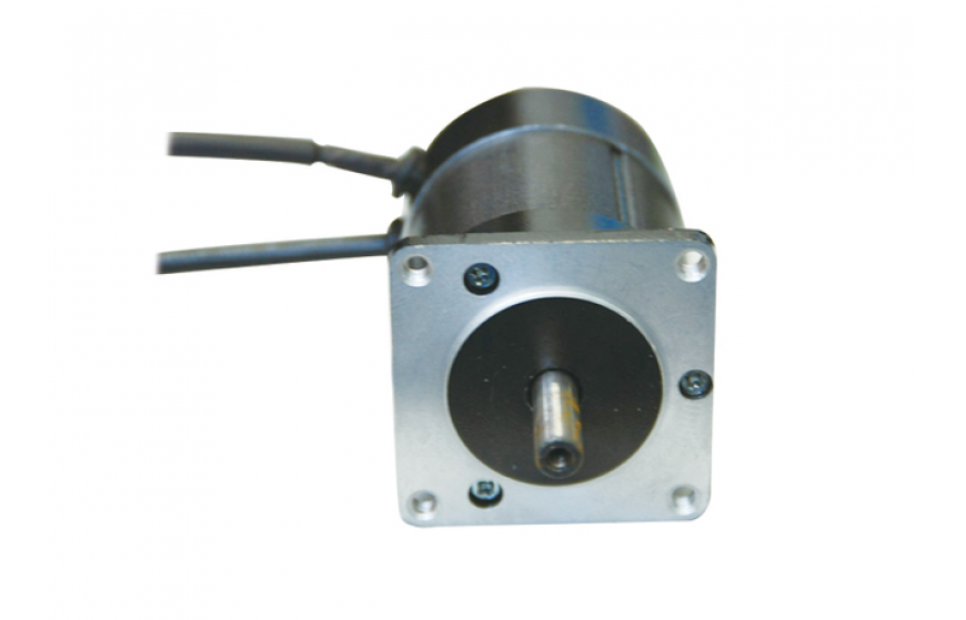 ZW55 Series Brushless DC Motor