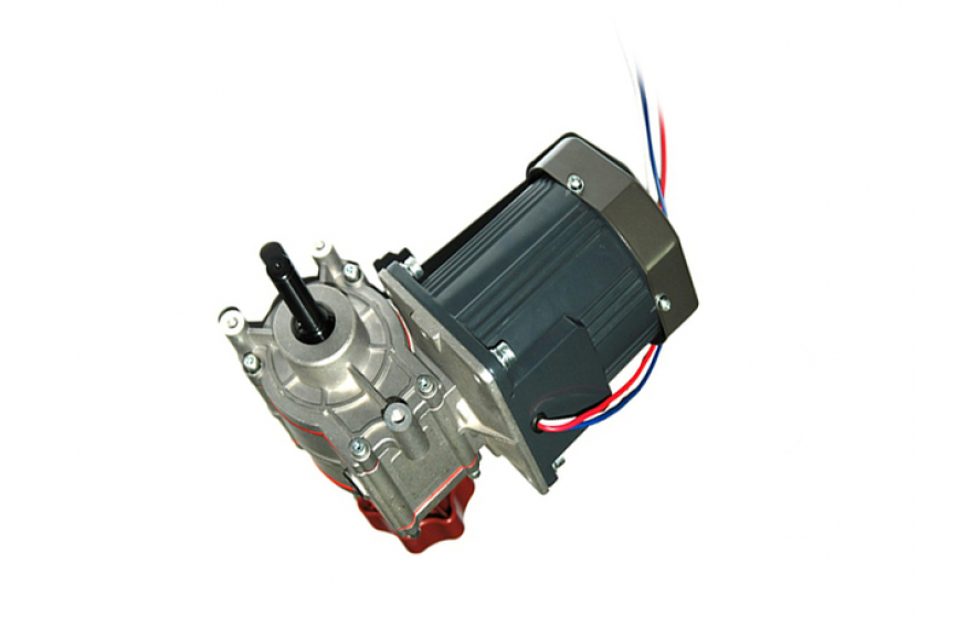 8450 series worm gear motor