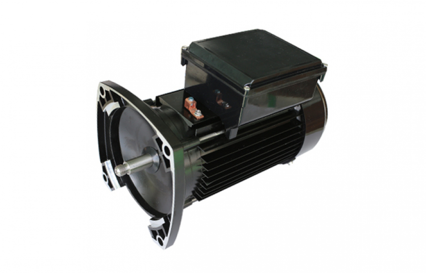 110 series single-phase AC asynchronous motors