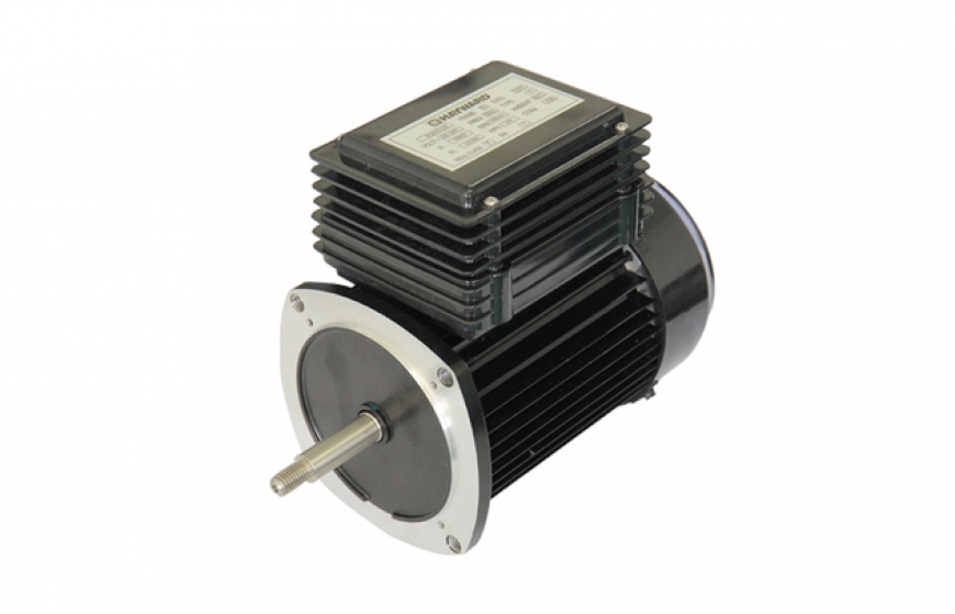 110 series single-phase AC asynchronous motors