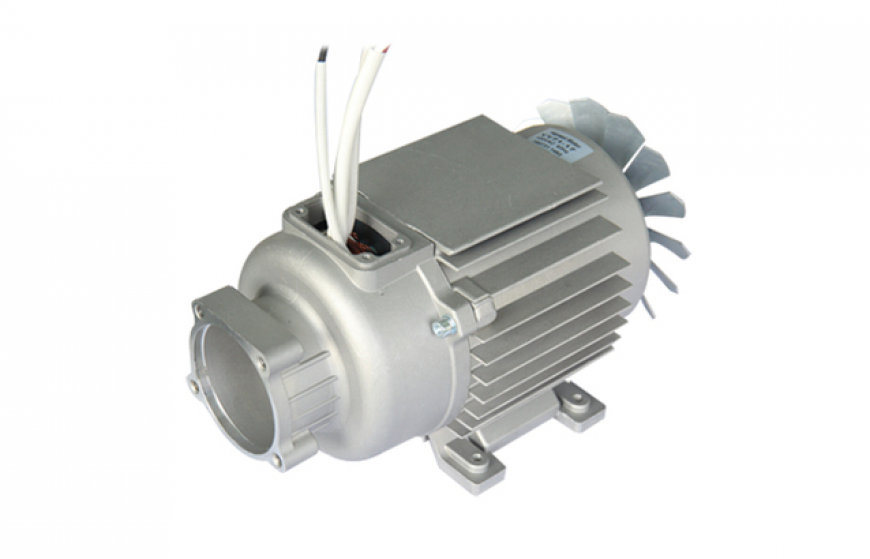 110 series single-phase AC asynchronous motors