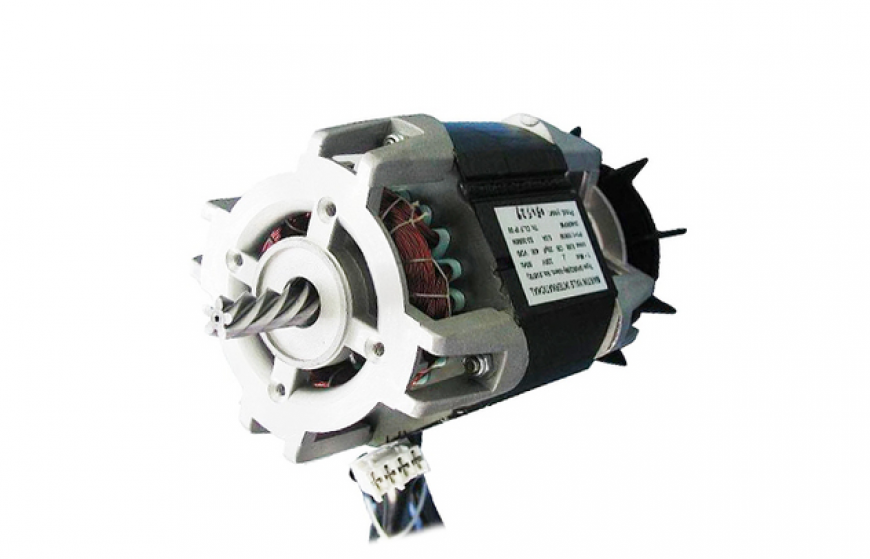 110 series single-phase AC asynchronous motors